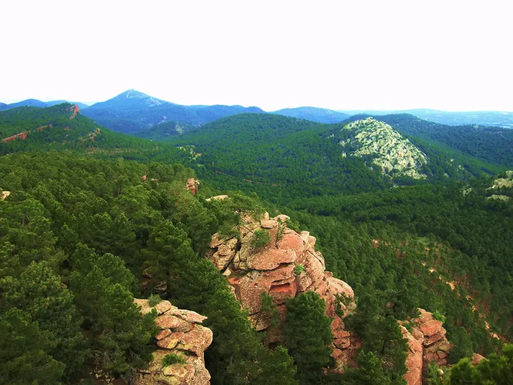 Pinares de Rodeno - Sierra de Albarracín