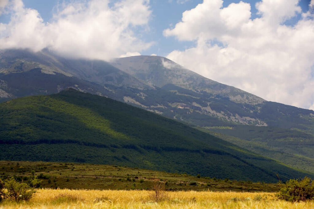 Parque Natural del Moncayo Archivo Prames