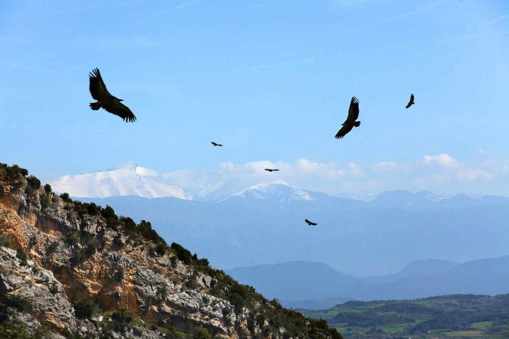 Sierra de Guara (2)