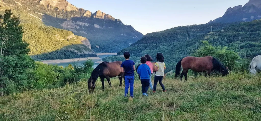 Experiencia conociendo caballos